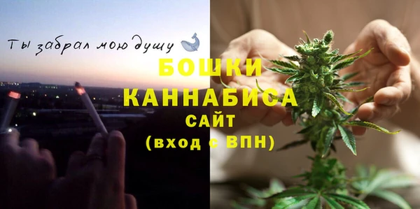 молекула духа Алексеевка