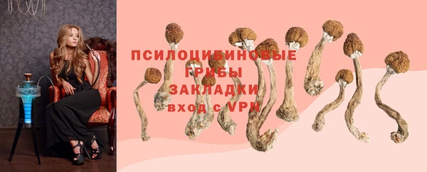 синтетический гашиш Алексин