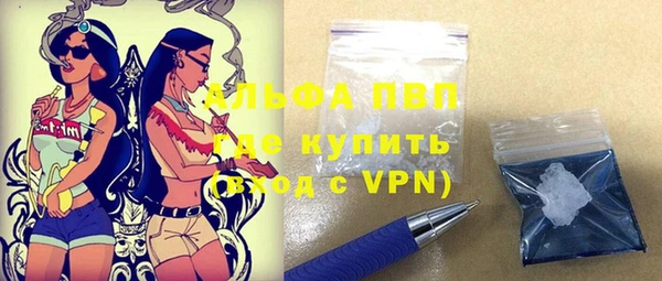молекула духа Алексеевка